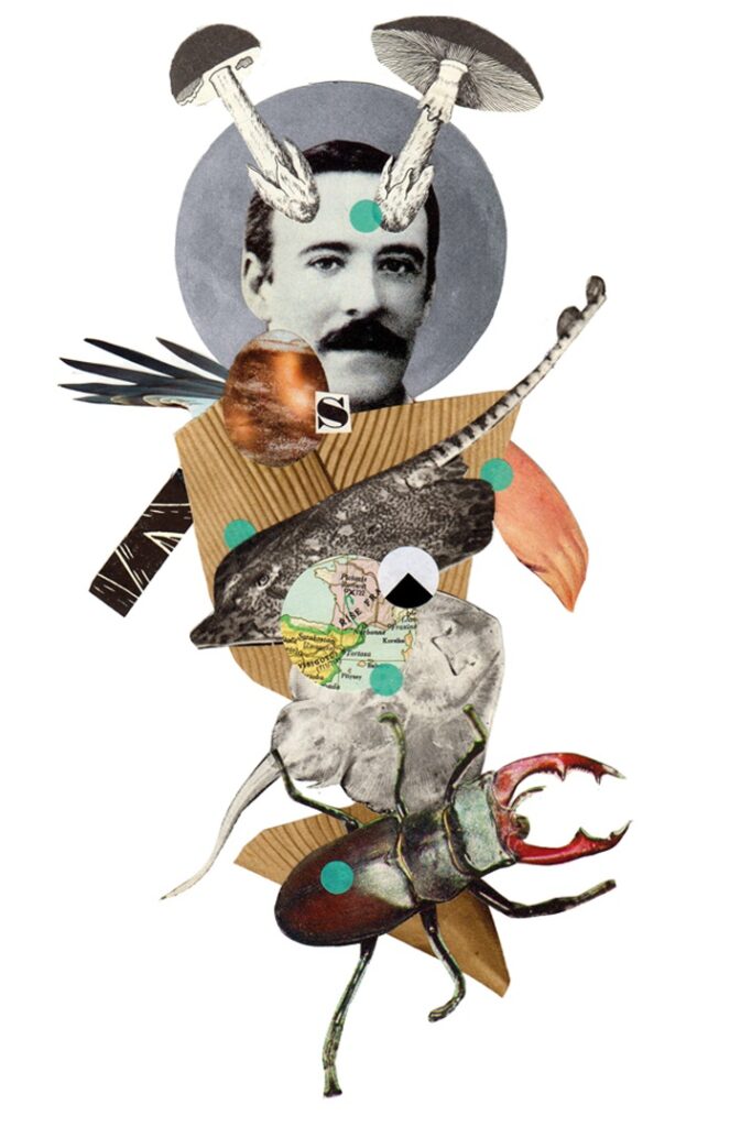 Helena Čubová koláž mail art